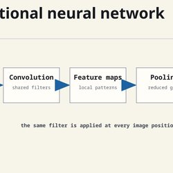 A CNN applies shared filters across an image, builds feature maps, and gradually reduces their spatial size.