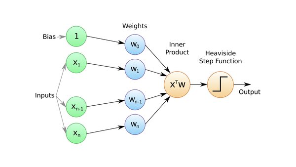 Rosenblatt's Perceptron model, an early implementation of learning in artificial systems.